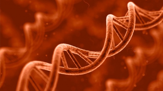 genetics-640x360