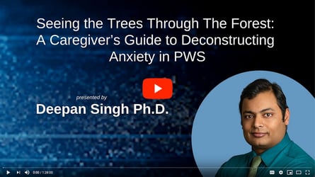 deconstructing-anxiety-in-pws-2020-conference-video