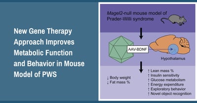 New-Gene-Therapy-Approach-Improves-Metabolic-Function