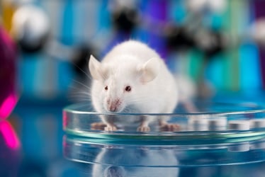 Temperature May Impact Gene Expression in Mice During PWS Research