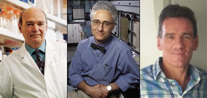 Genetic Therapy Researchers Work to Reactivate PWS Genes, Identify New Targets