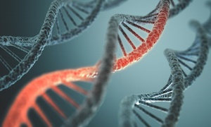 new-crispr-gene-editing-options-focus-on-rna.jpg