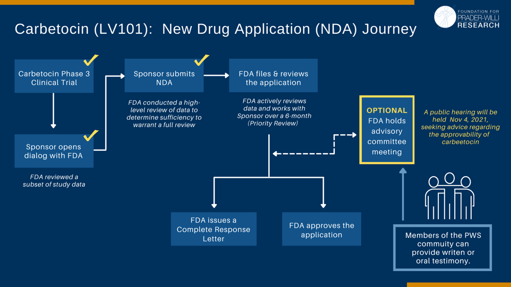 Carbetocin Approval Journey