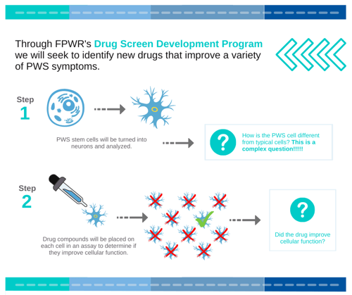 Directed Research Programs Infographic (1)