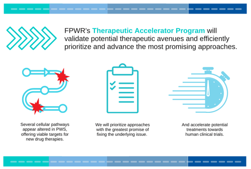 Directed Research Programs Infographic (2)-1