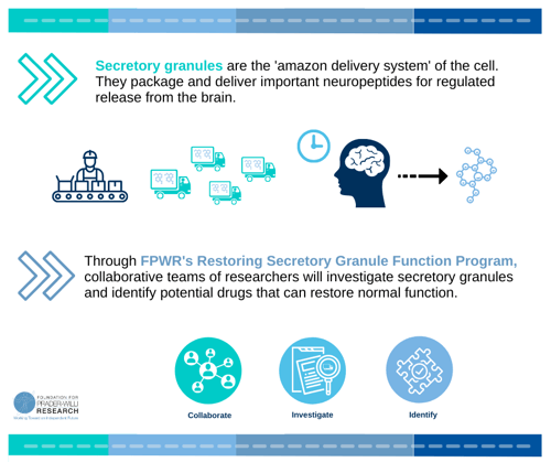 Directed Research Programs Infographic