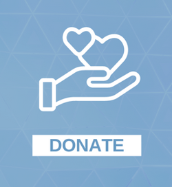 DONATE to support VNS for PWS