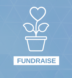 Fundraise for VNS