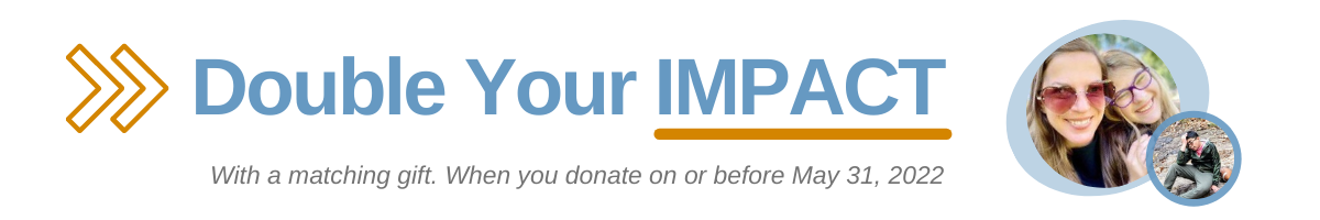 Double Your Impact VNS (1200 × 300 px)