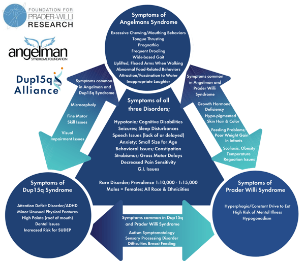 Comparison - Angelman, Dupe15q, Prader-Willi syndromes