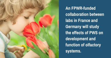 New Research into the Sense of Smell in PWS