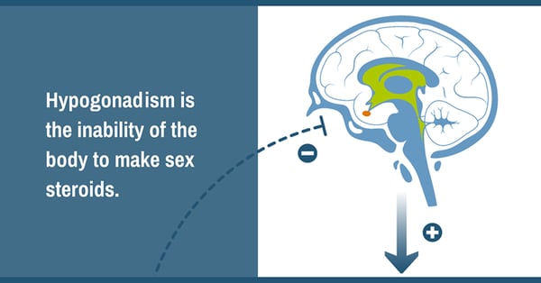 Hypogonadism_in_Prader-Willi_Syndrome_1