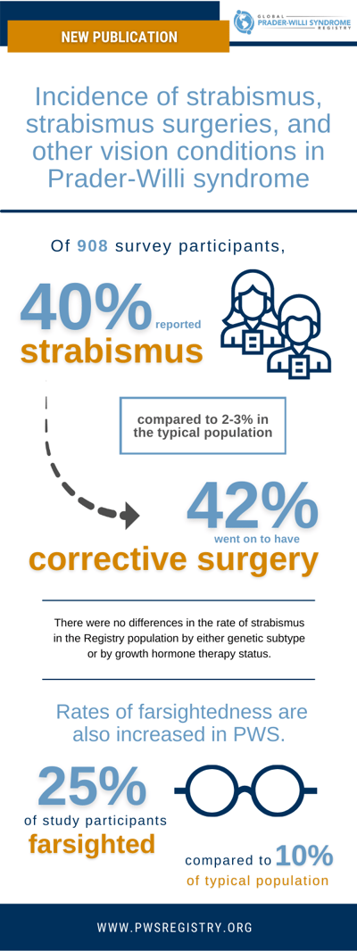 Vision Publication Infographic