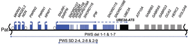 PWSDel