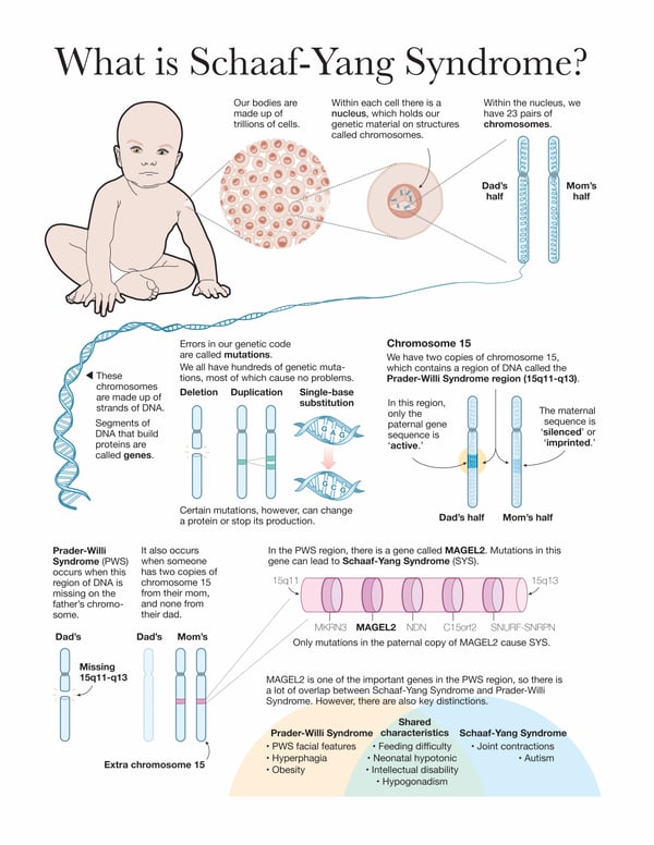 SchaafYangSyndrome