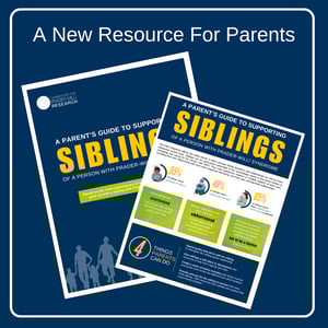 Sibling Guide Story (Instagram Post)