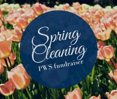 Spring Cleaning Fundraiser (1)