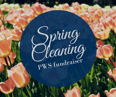 spring-cleaning-put-your-efforts-towards-supporting-pws-research