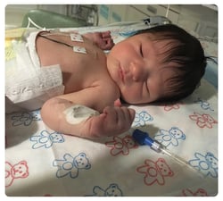 Newborn baby resting in a hospital bassinet.
