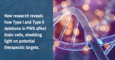 exploring-type-i-and-ii-deletions-in-prader-willi-cell-level-insights