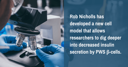 New PWS β-Cell Model Reveals Details Underlying Insulin Secretion Defects