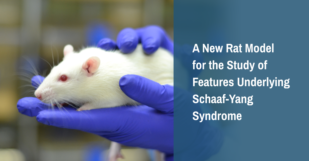 A New Rat Model for the Study of Features Underlying Schaaf-Yang Syndrome