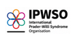 IPWSO
