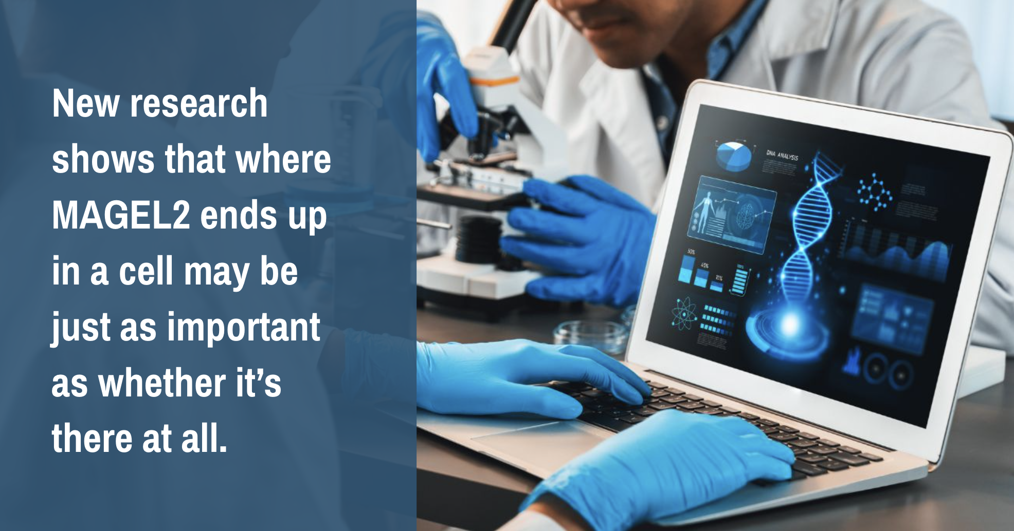 Inside the Cell: MAGEL2 Mislocalization and What It Means for SYS Research